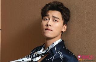 李易峰最新爆料官方视频,最新官方视频深度解析